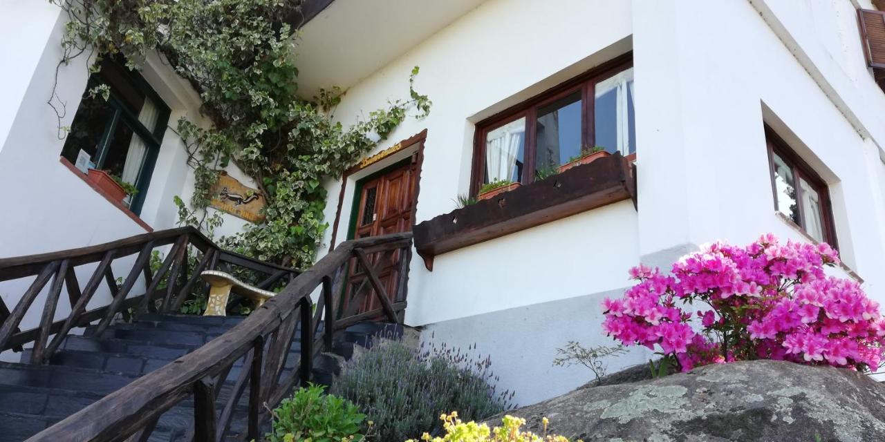 Hotel Panorama